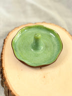 Large Jewelry Dish - Kiwi