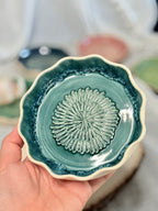 Garlic Grating Plate - Rainforest Teal